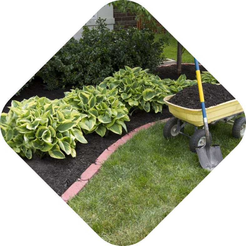 landscaping doune