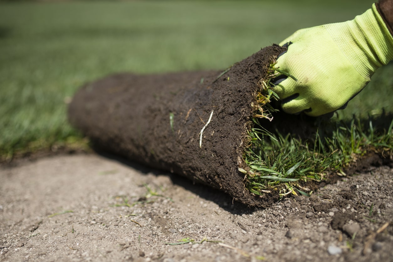 The Benefits Of Hiring A Professional Landscape Gardener