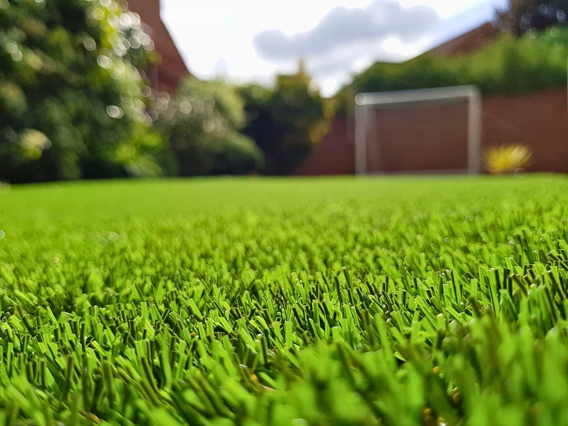 Artificial Grass or Real lawn?
